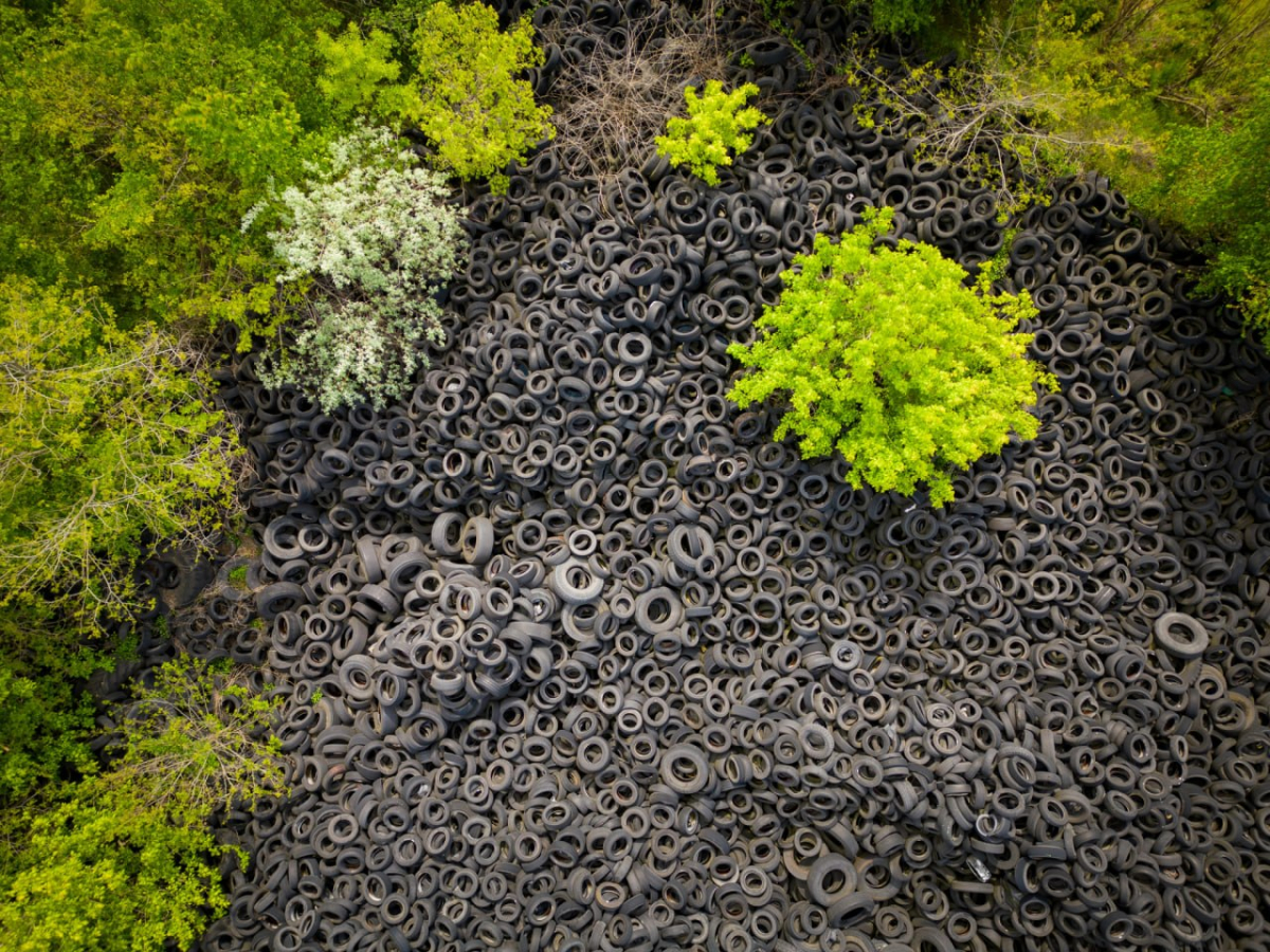 What is the human ecological footprint and how to reduce it? What is the human ecological footprint and how to reduce it?