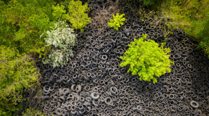What is the human ecological footprint and how to reduce it?